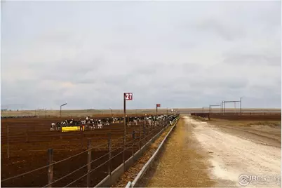 11905 County Road 5, Merino, CO 80741 - Photo 34