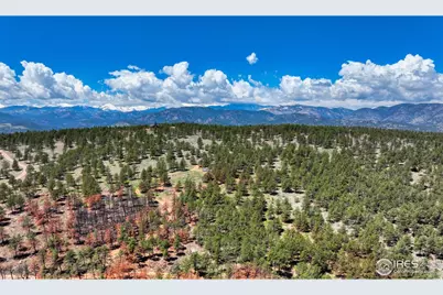 101 Lewis Ln, Longmont, CO 80503 - Photo 38