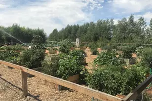 3425 Triano Crk Dr, Loveland, CO 80538 - Photo 30