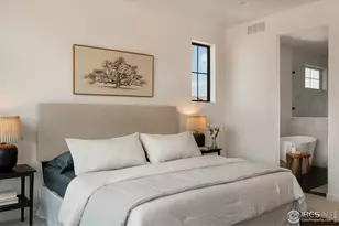 743 Little Leaf Dr, Windsor, CO 80550 - Photo 18