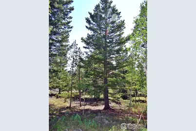 257 Jicarilla Trl, Red Feather Lakes, CO 80545 - Photo 24