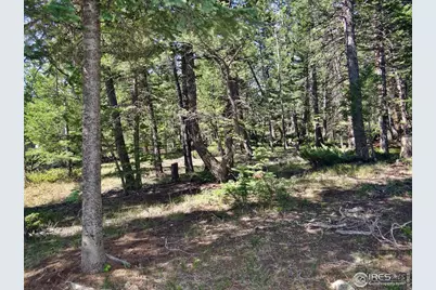257 Jicarilla Trl, Red Feather Lakes, CO 80545 - Photo 16