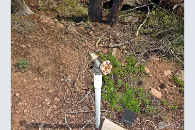 257 Jicarilla Trl, Red Feather Lakes, CO 80545 - Photo 12