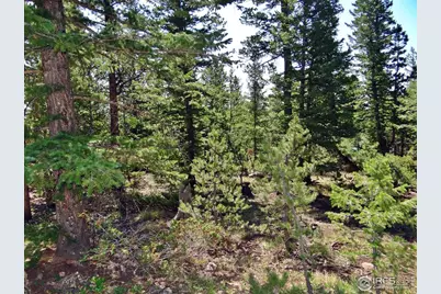 257 Jicarilla Trl, Red Feather Lakes, CO 80545 - Photo 22