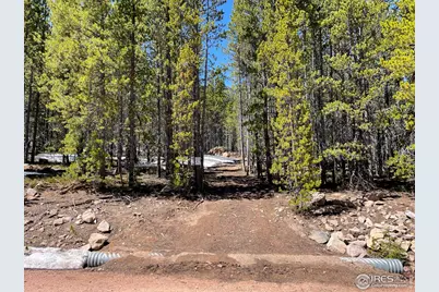 0 Forest Service 169 Rd #Parcel #3, Red Feather Lakes, CO 80545 - Photo 12