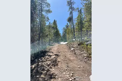 0 Forest Service 169 Rd #Parcel #3, Red Feather Lakes, CO 80545 - Photo 14