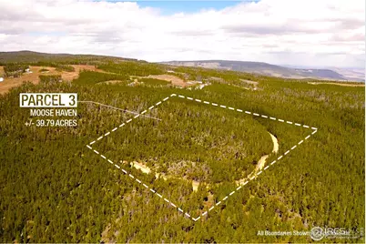 0 Forest Service 169 Rd #Parcel #3, Red Feather Lakes, CO 80545 - Photo 10