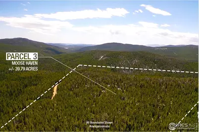 0 Forest Service 169 Rd #Parcel #3, Red Feather Lakes, CO 80545 - Photo 6
