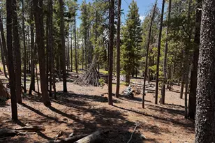 4911 Storm Mountain Dr, Drake, CO 80515 - Photo 32