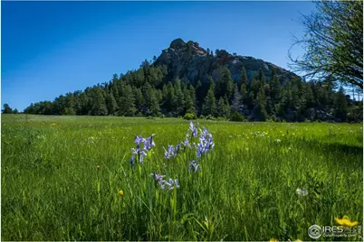 Shoshana Ranch Rd, Livermore, CO 80536 - Photo 10