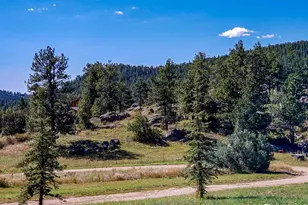 490 Gordon Ct, Livermore, CO 80536 - Photo 34