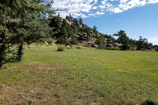 490 Gordon Ct, Livermore, CO 80536 - Photo 24