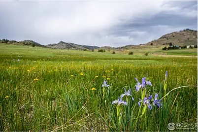 816 Meadow Way, Livermore, CO 80536 - Photo 1