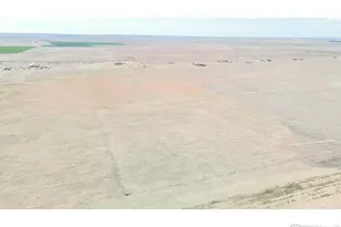 32208 Co Rd 89, Briggsdale, CO 80611 - Photo 40