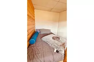 867 Windy Ridge Rd, Red Feather Lakes, CO 80545 - Photo 20