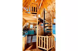 867 Windy Ridge Rd, Red Feather Lakes, CO 80545 - Photo 8