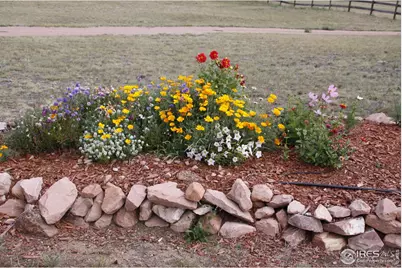 631 Linecamp Dr, Livermore, CO 80536 - Photo 38