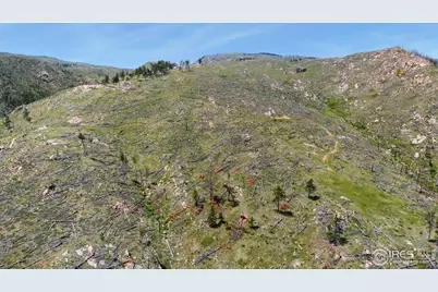 898 Hernia Hill Trl, Bellvue, CO 80512 - Photo 10