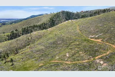 898 Hernia Hill Trl, Bellvue, CO 80512 - Photo 2