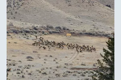 3310 W County Road 80, Wellington, CO 80549 - Photo 2