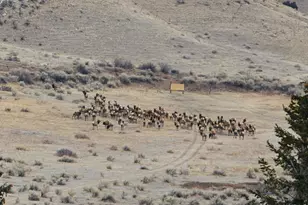 3310 W County Rd 80, Wellington, CO 80549 - Photo 2