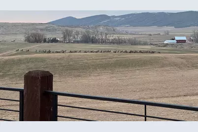 3310 W County Road 80, Wellington, CO 80549 - Photo 22