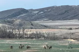 3310 W County Rd 80, Wellington, CO 80549 - Photo 22