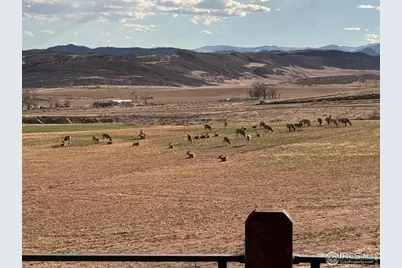 3310 W County Road 80, Wellington, CO 80549 - Photo 38