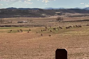 3310 W County Rd 80, Wellington, CO 80549 - Photo 38