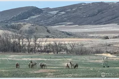 3310 W County Road 80, Wellington, CO 80549 - Photo 34