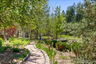 952 Skinner Gulch Rd, Loveland, CO 80537 - Photo 38