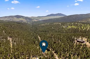 952 Skinner Gulch Rd, Loveland, CO 80537 - Photo 1