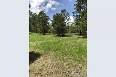 442 Quarter Circle Ln, Evergreen, CO 80439 - Photo 6