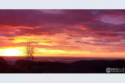 4119 Davis Ranch Rd, Bellvue, CO 80512 - Photo 30