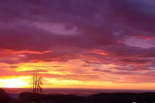 4119 Davis Ranch Rd, Bellvue, CO 80512 - Photo 30