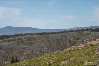 4119 Davis Ranch Rd, Bellvue, CO 80512 - Photo 40