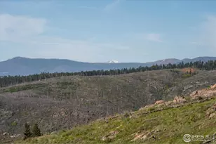 4119 Davis Ranch Rd, Bellvue, CO 80512 - Photo 40