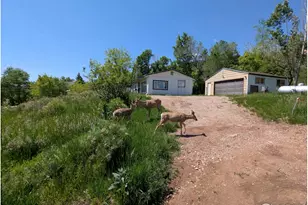 4809 Foothills Dr, Fort Collins, CO 80526 - Photo 16