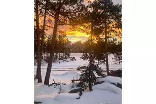 111 Elk Trl, Red Feather Lakes, CO 80545 - Photo 38