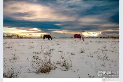 16490 Highway 392, Greeley, CO 80631 - Photo 4