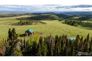 209 Forb Ln, Red Feather Lakes, CO 80545 - Photo 6