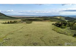 209 Forb Ln, Red Feather Lakes, CO 80545 - Photo 34