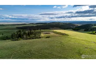 209 Forb Ln, Red Feather Lakes, CO 80545 - Photo 4