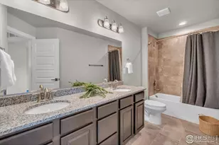 1182 Bowen Pass St, Severance, CO 80550 - Photo 26