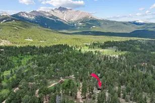 84 County Rd 113N, Allenspark, CO 80510 - Photo 20