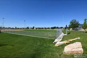 3268 White Buffalo Dr, Wellington, CO 80549 - Photo 40