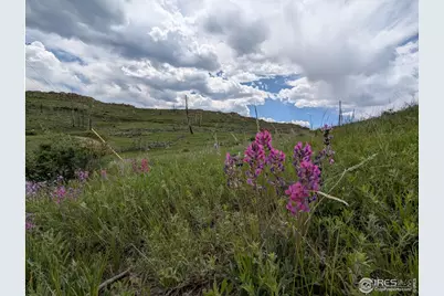 598 Mount McConnell Dr, Livermore, CO 80536 - Photo 2