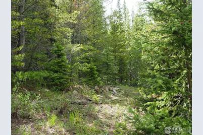 0 Gamble Gulch, Black Hawk, CO 80422 - Photo 20