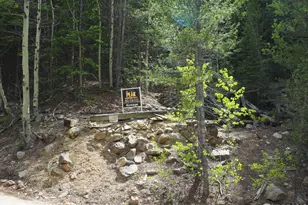 0 Gamble Gulch, Black Hawk, CO 80422 - Photo 1