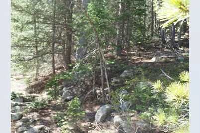 0 Gamble Gulch, Black Hawk, CO 80422 - Photo 10